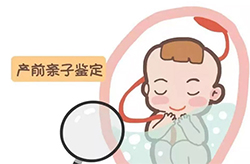 怀孕几个月如何鉴定孩子生父是谁[海南省]，海南省无创孕期亲子鉴定大概多少钱